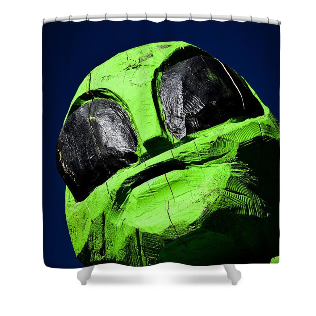 take me to your hardwood leader bonny puckett - Anime Shower Curtain Shop